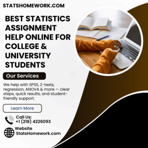 Best Statistics Assignment Help Online for College & University Students