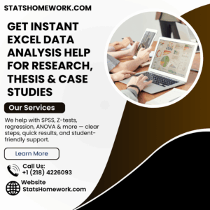Get Instant Excel Data Analysis Help for Research, Thesis & Case Studies