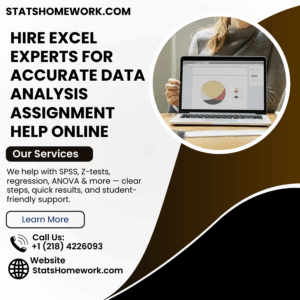 Hire Excel Experts for Accurate Data Analysis Assignment Help Online