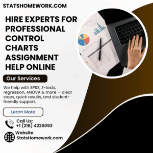 Hire Experts for Professional Control Charts Assignment Help Online